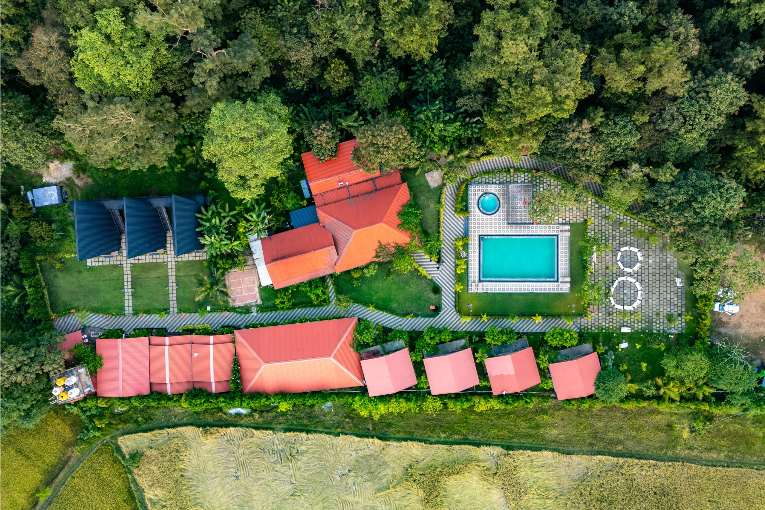 Nature walk in Dandeli